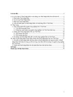 Phân tích ảnh hưởng của chính sách thuế nhập khẩu lên thị trường ôtô của việt nam 