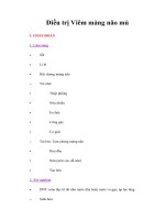 Tài liệu Giáo trình Điều trị Viêm màng não mủ pdf