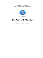 Kỹ thuật giấu tin thuận nghịch sử dụng thuật toán maxmin 