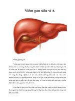 Tài liệu Viêm gan siêu vi A pdf