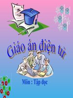 Bài giảng Bài 22- T12: Hành trình của bầy ong