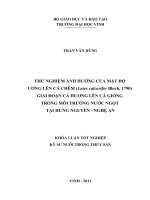 Thử nghiệm ảnh hưởng mật độ ương lên cá chẽm (lates calcarifer bloch, 1790) giai đoạn cá hương lên cá giống trong môi trường nước ngọt tại hưng nguyên   nghệ an luận văn tốt nghiệp đại học 