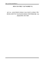 GIẢI PHÁP NÂNG CAO CHẤT LƯỢNG TÍN DỤNG DNVVN TẠI NGÂN HÀNG VIETINBANK- chi nhánh BẮC HÀ NỘI