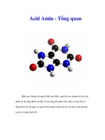 Tài liệu Acid Amin - Tổng quan docx