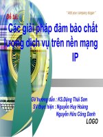 Tài liệu Các giải pháp đảm bảo chất lượng mạng IP