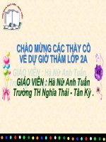Bài giảng Tập đọc: Cây xoài của ông em