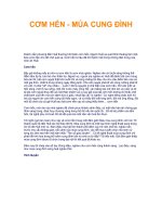 Tài liệu CƠM HẾN - MÚA CUNG ĐÌNH doc