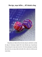 Tài liệu Buvige, mạo hiểm ... để thành công docx