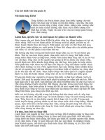 Tài liệu Các mô hình văn hóa quản lý doc