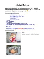 Tài liệu Cà ri gà Malaysia ppt