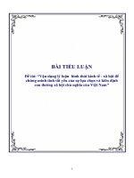 Tài liệu Tiểu luận 