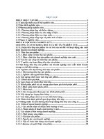 Một số giải pháp đẩy mạnh tiêu thụ sản phẩm cho công ty cổ phẩn gạch tuynel huế 