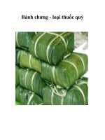 Tài liệu Bánh chưng - loại thuốc quý doc