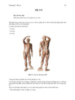 Tài liệu Chương 2: Hệ cơ doc