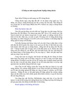 Tài liệu Lỗ hổng an ninh mạng Doanh Nghiệp chứng khoán pdf