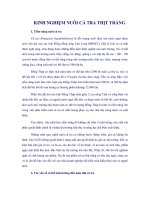 Tài liệu KINH NGHIỆM NUÔI CÁ TRA THỊT TRẮNG ppt