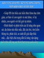 Bài soạn GD KNS MÔN KHOA HỌC LỚP 5