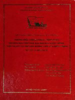 Những điều chỉnh trong chính sách thương mại việt nam sau khi gia nhập ASean thực trạng và phương hướng tiếp tục điều chỉnh 