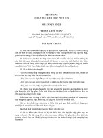 Tài liệu Hệ thống chuẩn mực kế toán Việt Nam - Chuẩn mực số 230 Hồ sơ kiểm toán ppt