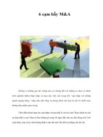 Tài liệu 6 cạm bẫy M&A pptx