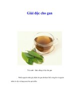 Tài liệu Giải độc cho gan pdf