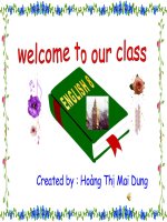 Bài giảng UNIT 8 -  READ