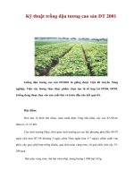 Tài liệu Kỹ thuật trồng đậu tương cao sản DT 2001 ppt