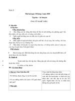 Gián án GA lớp 3 tuần 21(CKTKN)