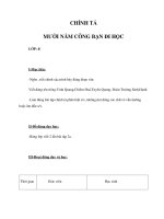 Tài liệu CHÍNH TẢ 4 - MƯỜI NĂM CÕNG BẠN ĐI HỌC doc