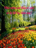 Bài soạn Tiết 42. Góc tạo bỡi tia tiếp tuyến và dây cung