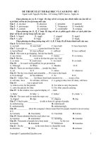 Bài giảng đề thi thử toán 2010