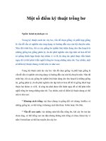 Tài liệu Một số điểm kỹ thuật trồng bơ ppt