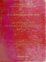 Giải pháp phát triển thương mại điện tử tại việt nam 