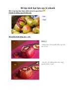 Tài liệu Bí kíp tách hạt lựu cực kì nhanh pdf