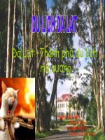 Gián án du lich da lat