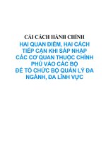 Tài liệu HAI QUAN ĐIỂM, HAI CÁCH TIẾP CẬN KHI SÁP NHẬP CÁC CƠ QUAN doc