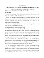 CHU kì SỐNG và các CHIẾN lược MARKETING CHO gói cước BIG – ZERO của MẠNG điện THOẠI DI ĐỘNG BEELINE 