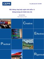 Tài liệu Hội chứng ràng buộc ngân sách mềm và khủng hoảng tài chính toàn cầu pptx