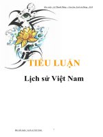 Tài liệu Tiểu luận: Lịch sử Việt Nam ppt
