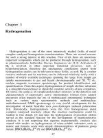 Tài liệu Chapter 3: Hydrogenation ppt