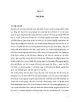 Phân tích báo cáo tài chính tại công ty TNHH đầu tư và xây dựng tuổi trẻ thủ đô