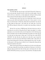 Giải pháp hoàn thiện 2 hệ thống quản lý chất lượng theo tiêu chuẩn ISOTS 16949 2009 tại nhà máy tire cord công ty TNHH hyosung việt nam đến năm 2015 