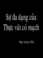 Tài liệu Sự đa dạng của thực vật có mạch doc