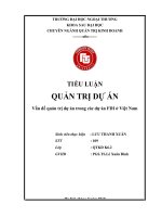 TI ểu LUẬN QUẢN TRỊ dự án vấn đề quản trị dự án trong các dự án FDI ở việt nam 