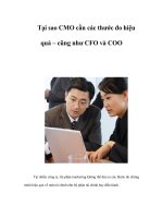 Tài liệu Tại sao CMO cần các thước đo hiệu quả – cũng như CFO và COO pdf