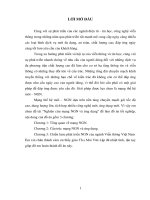 Nghiên cứu mạng NGN và ứng dụng 