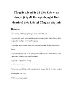 Tài liệu Cấp giấy xác nhận đủ điều kiện về an ninh, trật tự để làm ngành, nghề kinh doanh có điều kiện tại docx