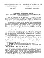 Tài liệu KH le phat dong Nam Thanh nien 2011