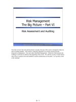 Tài liệu Risk Management The Big Picture – Part VI ppt