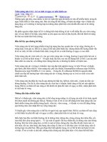 Tài liệu Bệnh viêm màng lão ở trẻ sơ sinh